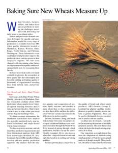 Baking Sure New Wheats Measure Up SCOTT BAUER (K7219-2) W  heat breeders, farmers,