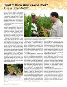 Want To Know What a Gene Does?  Use a Little MAGIC Do you believe in MAGIC? Agricultural Research Service plant geneticist Peter Balint-Kurti and colleagues at Purdue