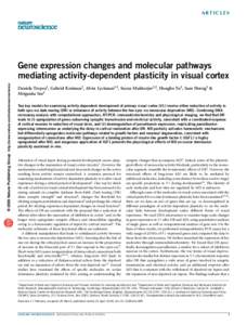 ARTICLES  © 2006 Nature Publishing Group http://www.nature.com/natureneuroscience Gene expression changes and molecular pathways mediating activity-dependent plasticity in visual cortex