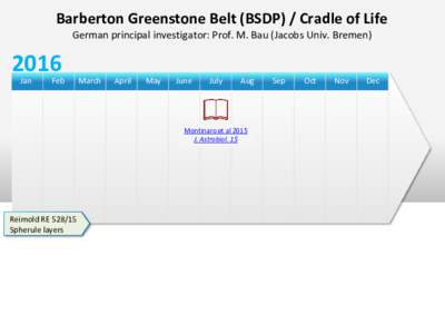 Barberton Greenstone Belt (BSDP) / Cradle of Life German principal investigator: Prof. M. Bau (Jacobs Univ. BremenJan