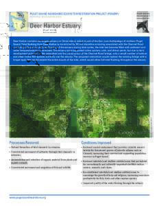 PUGET SOUND NEARSHORE ECOSYSTEM RESTORATION PROJECT (PSNERP) POTENTIAL RESTORATION SITES Deer Harbor Estuary  IMAGE: Google Earth (2011)