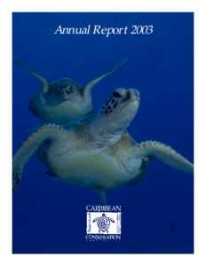 Sea turtles / Endangered species / Reptiles of Australia / Caribbean Conservation Corporation / Tortuguero National Park / Archie Carr National Wildlife Refuge / Leatherback sea turtle / Tortuguero /  Costa Rica / Hawksbill sea turtle / Fauna of Asia / Herpetology / Zoology