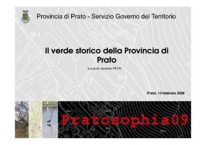 Il verde storico della Provincia di Prato a cura di Leonardo PETRI Prato, 13 febbraio 2009
