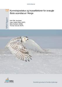 727 Kunnskapsstatus og trusselfaktorer for snøugle Bubo scandiacus i Norge Karl-Otto Jacobsen Ingar Jostein Øien (NOF) Roar Solheim (ANM)