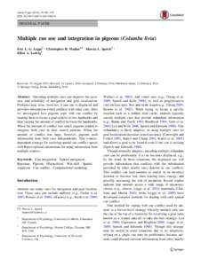 Anim Cogn:581–591 DOIs10071ORIGINAL PAPER  Multiple cue use and integration in pigeons (Columba livia)