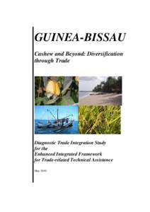 Microsoft Word - Guinea-Bissau_DTIS Main Report_final.doc