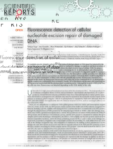 OPEN SUBJECT AREAS: OLIGONUCLEOTIDE PROBES ASSAY SYSTEMS DNA PROBES