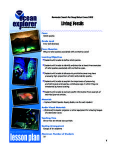 ocean  Bermuda: Search for Deep Water Caves 2009 Living Fossils