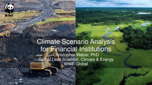 Climate Scenario Analysis for Financial Institutions Christopher Weber, PhD Global Lead Scientist, Climate & Energy WWF Global