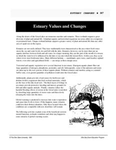 ESTUARY CHANGES  107 Estuary Values and Changes Along the shores of the Great Lakes are numerous marshes and estuaries. These wetlands support a great