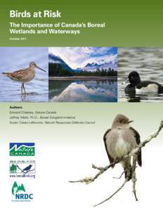 Birds at Risk The Importance of Canada’s Boreal Wetlands and Waterways OctoberAuthors: