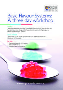 Basic Flavour Systems: A three day workshop Overview
