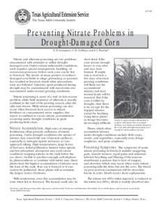 Preventing Nitrate Problems in Drought-Damaged Corn