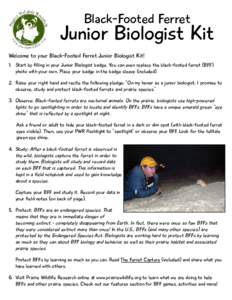 Black-Footed Ferret  Junior Biologist Kit Welcome to your Black-Footed Ferret Junior Biologist Kit! 1.	 Start by filling in your Junior Biologist badge. You can even replace the black-footed ferret (BFF) photo with your 