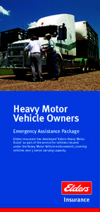 EIN100490 heavy motor assist DL flyer.indd