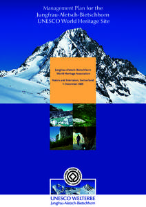 Bietschhorn / Aletsch Glacier / Matten bei Interlaken / Konkordiaplatz / Jungfrau / Federal Inventory of Landscapes and Natural Monuments / UNESCO / Eiger / Cultural landscape / Alps / Bernese Alps / Jungfrau-Aletsch protected area