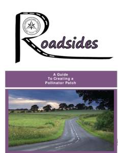oadsides A Guide To Creating a Pollinator Patch  A Guide to Creating a Pollinator Patch
