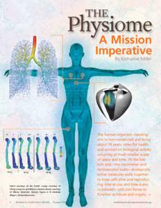 THE  Physiome A Mission Imperative By Katharine Miller
