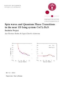 FACULTY OF SCIENCE UNIVERSITY OF COPENHAGEN Spin waves and Quantum Phase Transitions in the near 1D Ising system CoCl 2∙D 2O Bachelor Project