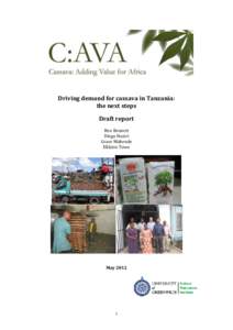 Driving demand for cassava in Tanzania: the next steps Draft report Ben Bennett Diego Naziri Grace Mahende