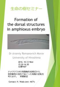 生命の樹セミナー  Formation of the dorsal structures in amphioxus embryo