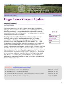 Finger Lakes Grape Program  September 4, 2013 In the Vineyard Hans Walter-Peterson