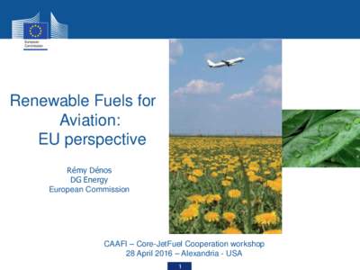 Renewable Fuels for Aviation: EU perspective Rémy Dénos DG Energy European Commission