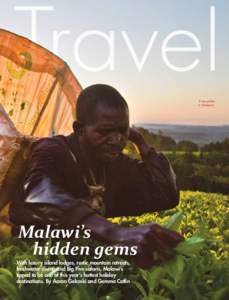 A tea picker in Satemwa. Malawi’s hidden gems