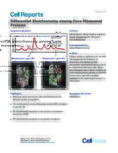 Report  Differential Stoichiometry among Core Ribosomal Proteins Graphical Abstract