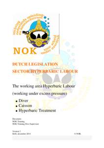 DUTCH LEGISLATION SECTOR HYPERBARIC LABOUR The working area Hyperbaric Labour (working under excess pressure)  Diver