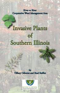 River to River Cooperative Weed Management Area Invasive Plants of Southern Illinois