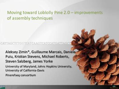 Moving	
  toward	
  Loblolly	
  Pine	
  2.0	
  –	
  improvements	
   of	
  assembly	
  techniques	
  	
   Aleksey	
  Zimin*,	
  Guillaume	
  Marcais,	
  Daniela	
   Puiu,	
  KrisGan	
  Stevens,	
  Mi