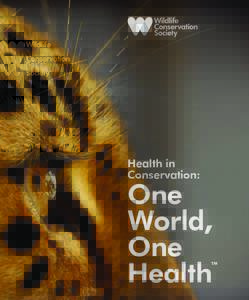 Health in Conservation: One World, One