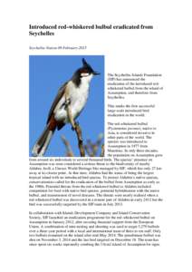 Pycnonotidae / Conservation / Aldabra / Seychelles Islands Foundation / Zoology / Red-vented Bulbul / Plasmodium jiangi / Pycnonotus / Bulbul / Fauna of Asia