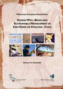 Millennium Ecosystem Assessment:  HUMAN WELL-BEING AND SUSTAINABLE MANAGEMENT IN SAN PEDRO DE ATACAMA - CHILE