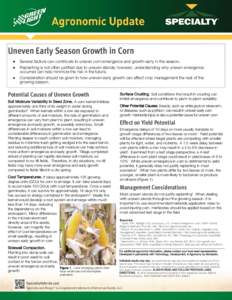 Uneven Early Season Growth in Corn  Several factors can contribute to uneven corn emergence and growth early in the season.  Replanting is not often justified due to uneven stands; however, understanding why 