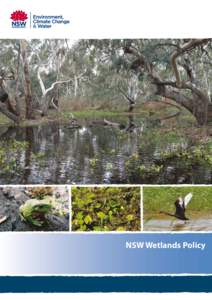 NSW Wetlands Policy  Cover photos – main photo: Wet red gum forest – D. Love, Sydney Catchment Authority. Other photos, left to right: Green tree frog – W. Johnson; Vegetation following delivery of environmental w
