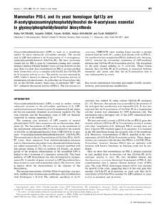 185  Biochem. J, 185–192 (Printed in Great Britain) Mammalian PIG-L and its yeast homologue Gpi12p are N-acetylglucosaminylphosphatidylinositol de-N-acetylases essential