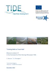‘Training Walls at Trent Falls’ Measure analysis 37 in the framework of the Interreg IVB project TIDE S. Manson 1, N. Pinnington 2  1