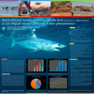 In-Water Resting Posture  Shortfin Mako Shark 1. Fresh Lesion