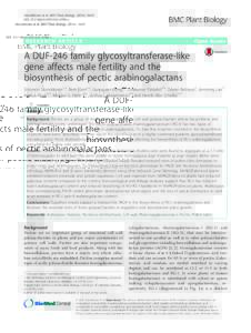 A DUF-246 family glycosyltransferase-like gene affects male fertility and the biosynthesis of pectic arabinogalactans