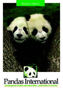 EDGE Species / Giant pandas / Hua Mei / Mei Sheng / Su Lin / Bifengxia Panda Base / Zhen Zhen / Yun Zi / Tai Shan / Biology / Conservation / Zoology