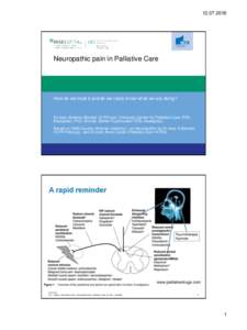 Neuropathic pain in Palliative Care How do we treat it and do we really know what we are doing?