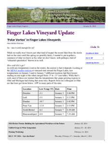 Finger Lakes Grape Program  January 16, 2014 ‘Polar Vortex’ in Finger Lakes Vineyards Hans Walter-Peterson