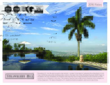 2016 Rates  S TRAWBERRY H ILL Strawberry Hill, the 26–acre mountain–top retreat, is located in the heart of Jamaica’s Blue Mountains in Irish Town, 3,000 feet above the Caribbean Sea. Listed in The New York Times #