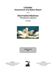 COSEWIC Assessment and Status Report on the Short-tailed Albatross Phoebastria albatrus