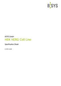B’SYS GmbH  HEK hERG Cell Line Specification Sheet © B’SYS GmbH