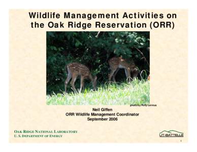 Wildlife Management Activities on the Oak Ridge Reservation (ORR) photo by Polly Leinius  Neil Giffen