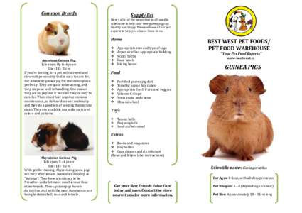 Common Breeds  Supply list Here’s a list of the necessities you’ll need to take home to help your new guinea pig stay healthy and happy. Please ask one of our pet