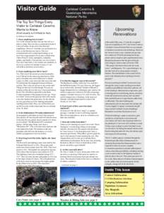 Visitor Guide Visitor Guide Carlsbad Caverns & Guadalupe Mountains